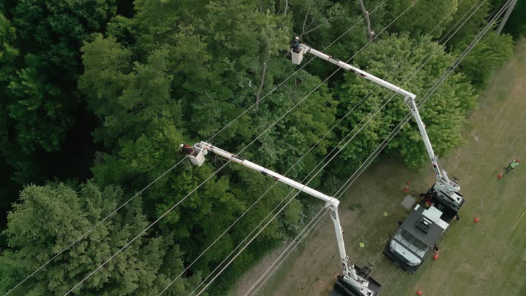 Trusted Crooked River Ranch, OR Tree Services Experts